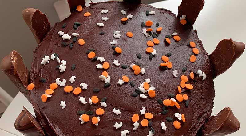 Chocolate and Caramel Pretzel Cake