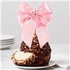chocolate-peanut-butter-spring-jumbo-caramel-apple-gift-199-PBALM-10S14