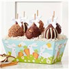 bunny-garden-caramel-apple-gift-tray-1939170