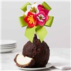 dark-chocolate-cocoa-flower-pop-jumbo-caramel-apple-gift-199-DCNIB-24S02
