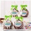 hip-hip-hooray-birthday-caramel-apple-4-pack-1930878