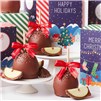 holiday-greetings-caramel-apple-gift-set-1939261-alt