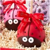 love-letters-caramel-apple-and-confection-gift-tray-alt1