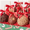 merry-and-bright-caramel-apple-tray-1939267-alt2
