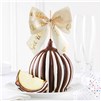 triple-chocolate-get-well-soon-caramel-apple-gift-1930394