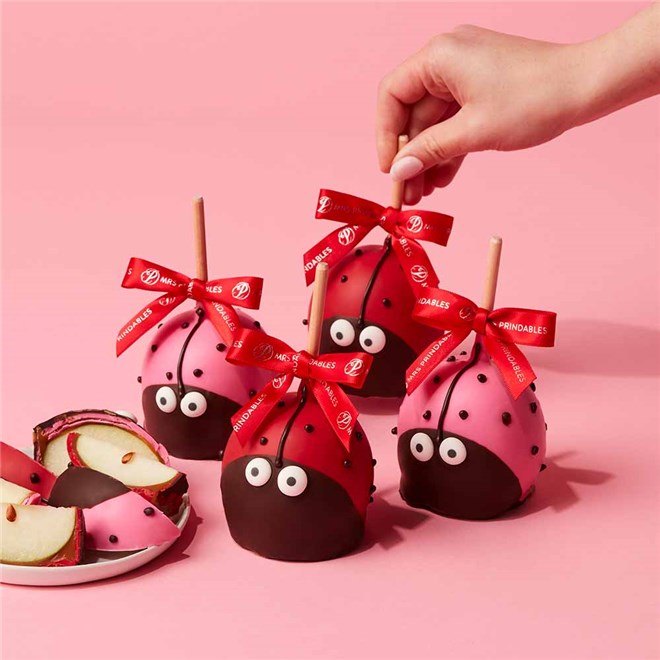 Love Bugs Caramel Apple Gift Set | Mrs Prindables