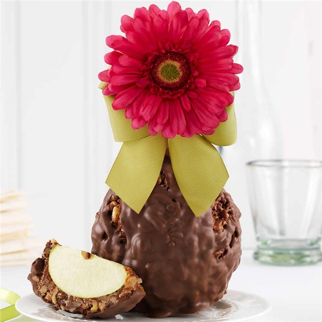 milk-chocolate-walnut-gerber-daisy-jumbo-caramel-apple-gift-199-MCWAL-21S04