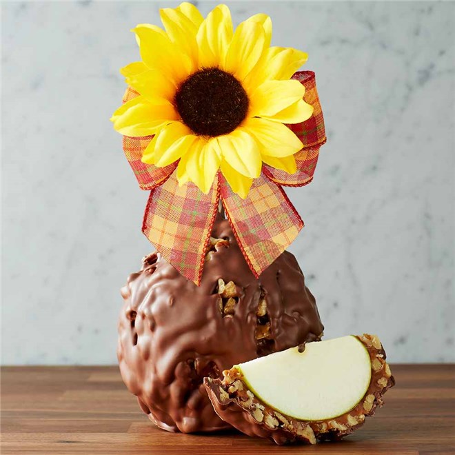 milk-chocolate-walnut-pecan-autumn-sunflower-jumbo-caramel-apple-199-mcwal-21F04