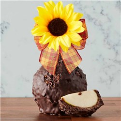 Dark Chocolate Cocoa Autumn Sunflower Jumbo Caramel Apple