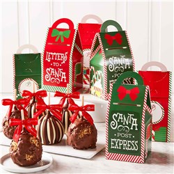 Letters to Santa Caramel Apple Gift Set