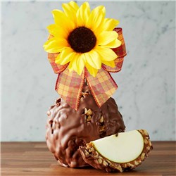 Autumn Sunflower Jumbo Caramel Apple