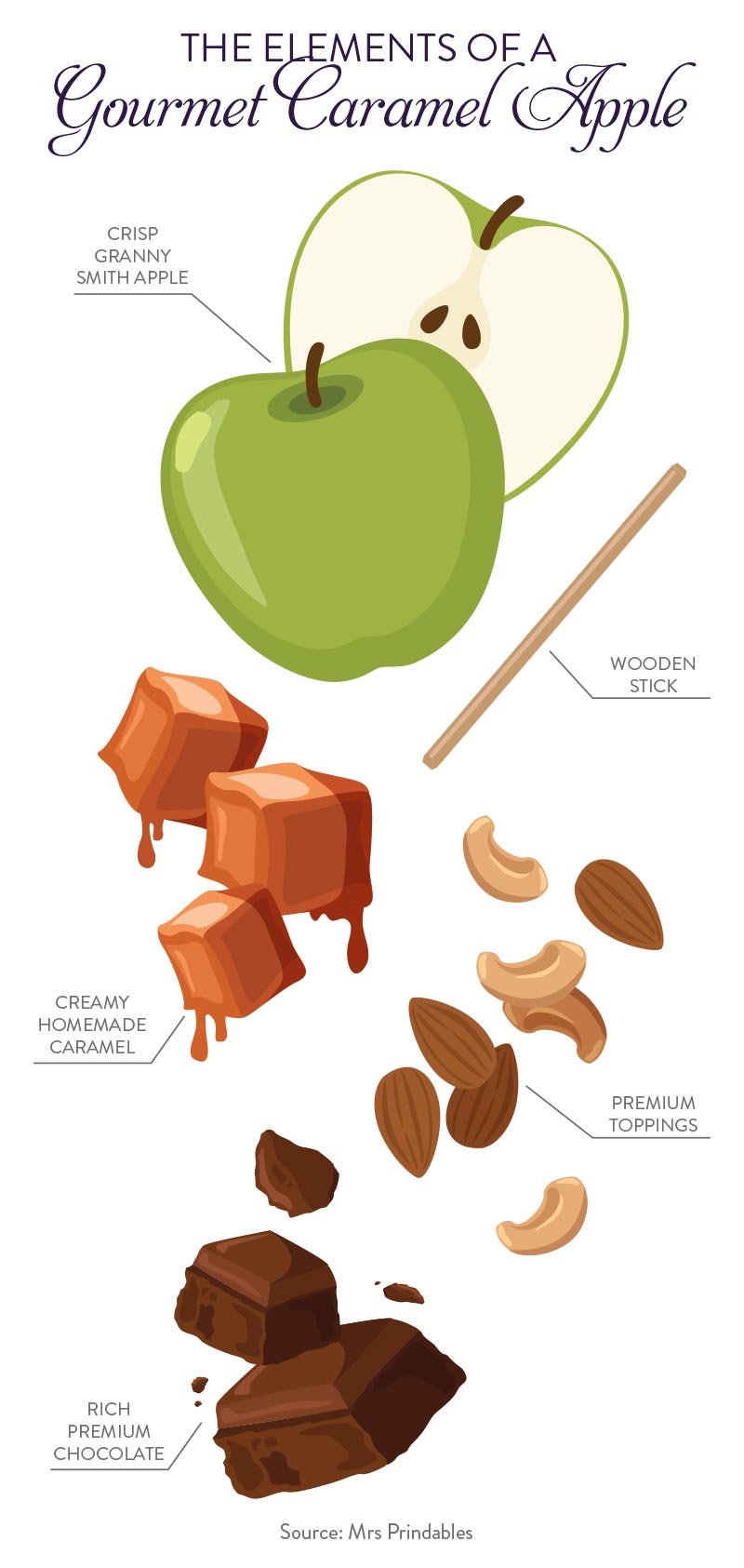 Gourmet Caramel Apple Infographic