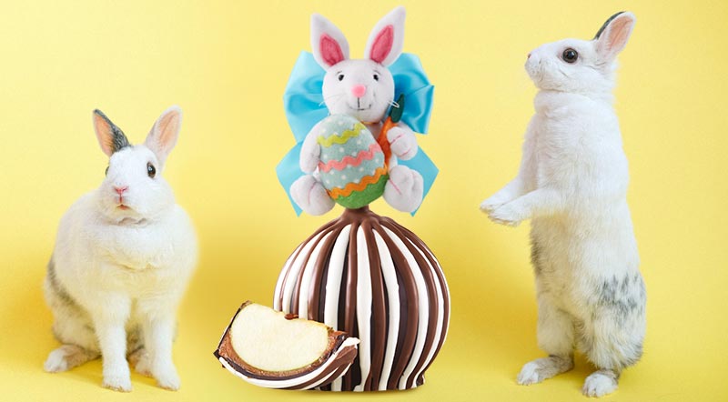 Triple Chocolate Painting Bunny Caramel Apple - Mrs Prindables