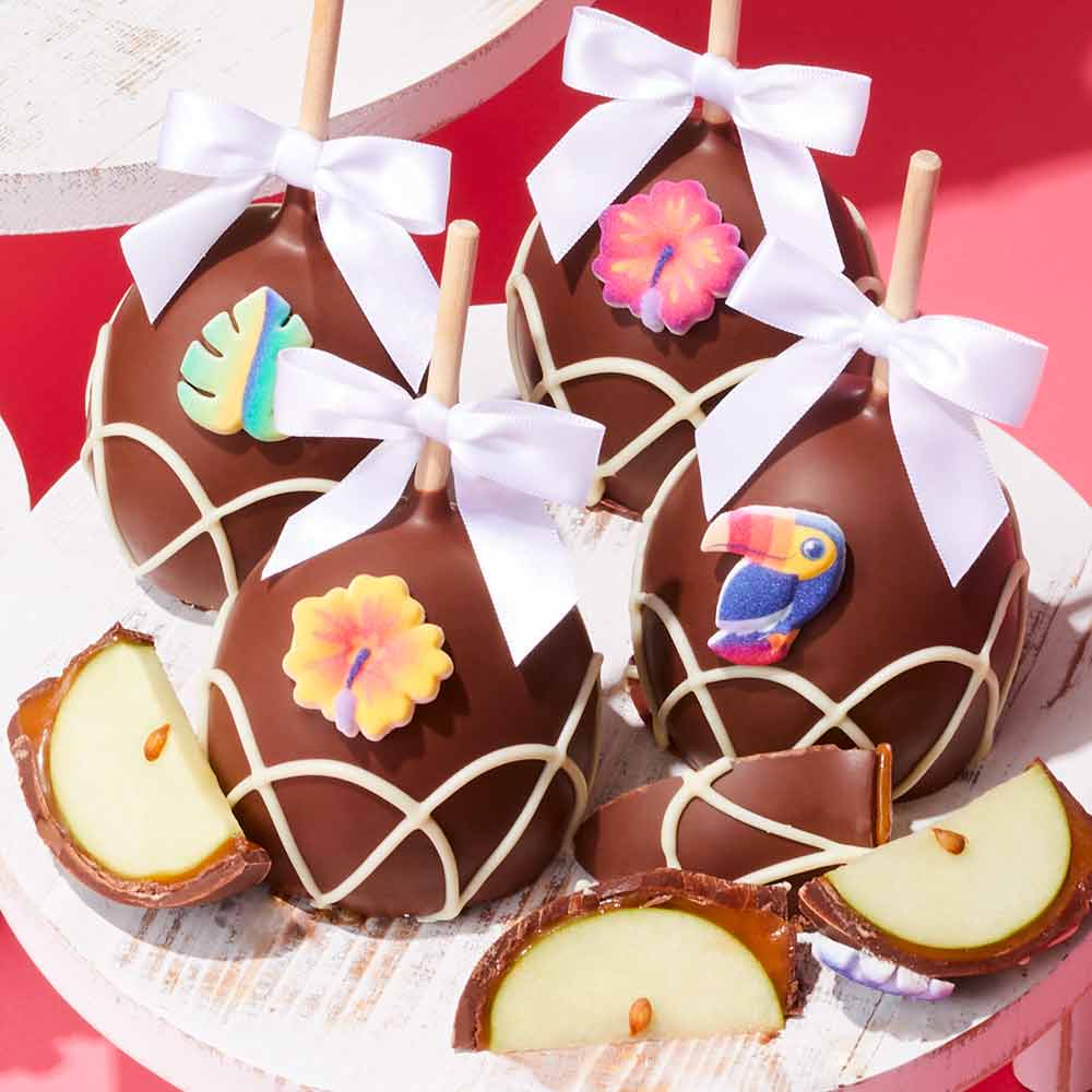 Tropical Delight Caramel Apple 4-Pack – mrsprindables